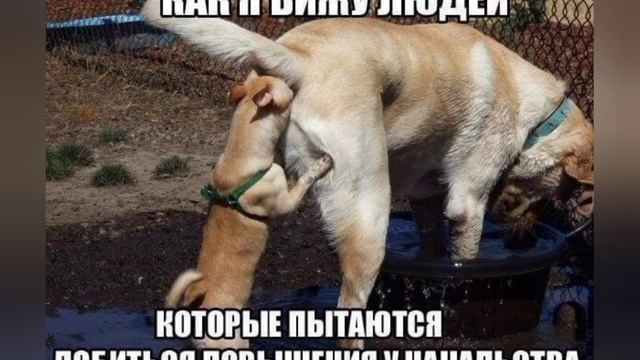 Я вижу людей смотреть онлайн