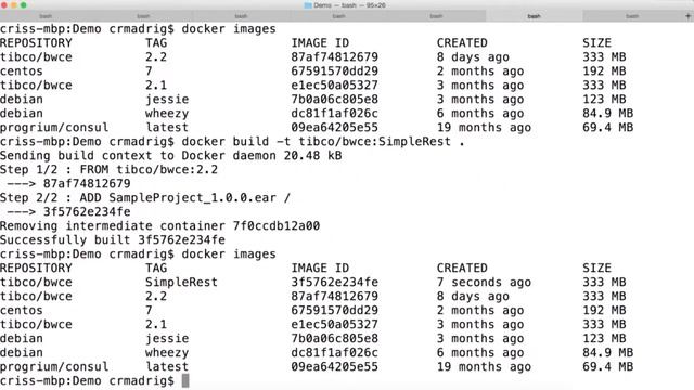 Deploying a Simple BusinessWorks™ Container Edition Service to Docker смотреть онлайн
