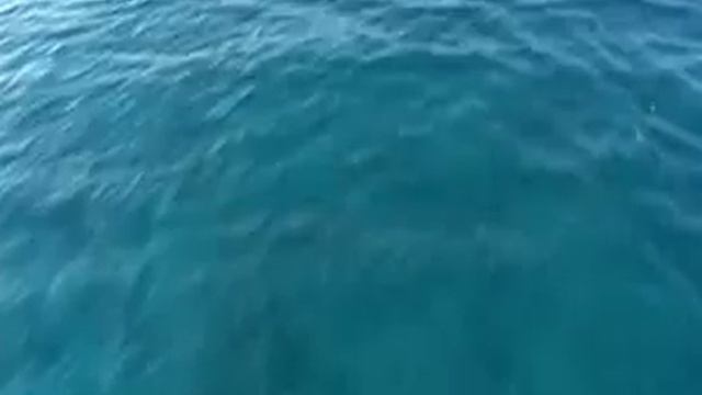 Emperor Divers - Hurghada смотреть онлайн