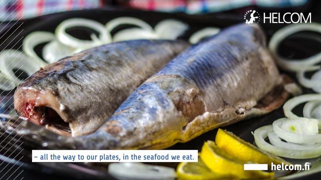 Munitions in the Baltic Sea - by Rüdiger Strempel, HELCOM Executive Secretary смотреть онлайн