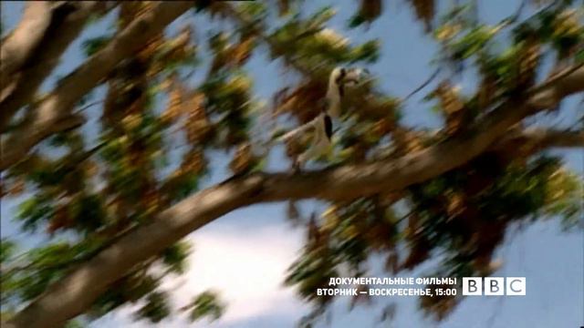 Анонс BBC общий смотреть онлайн