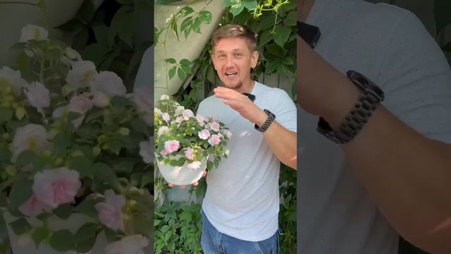 Таинственные растения: экзотические миры