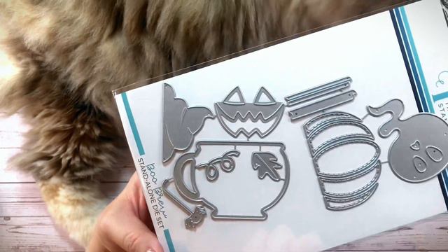 Scrapbook.com & Simon Says Stamp Haul!!! смотреть онлайн