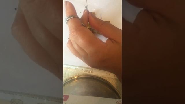 Биополе человека 6 часть смотреть онлайн