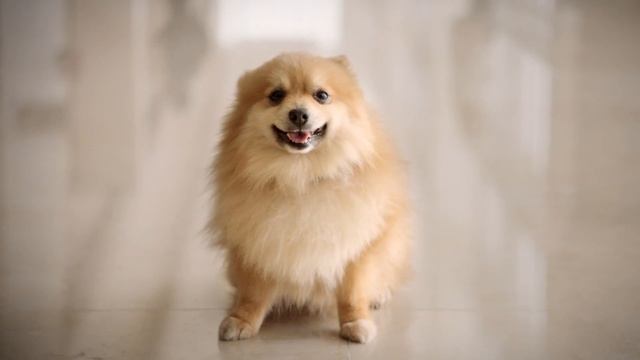 Dockers Presents: How To Get The Upgrade смотреть онлайн