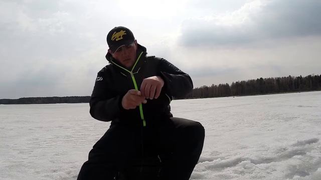 Ловля плотвы на мормышку и щуки на жерлицы по последнему льду. Видео отчет от 14.04.2015 г. смотреть онлайн