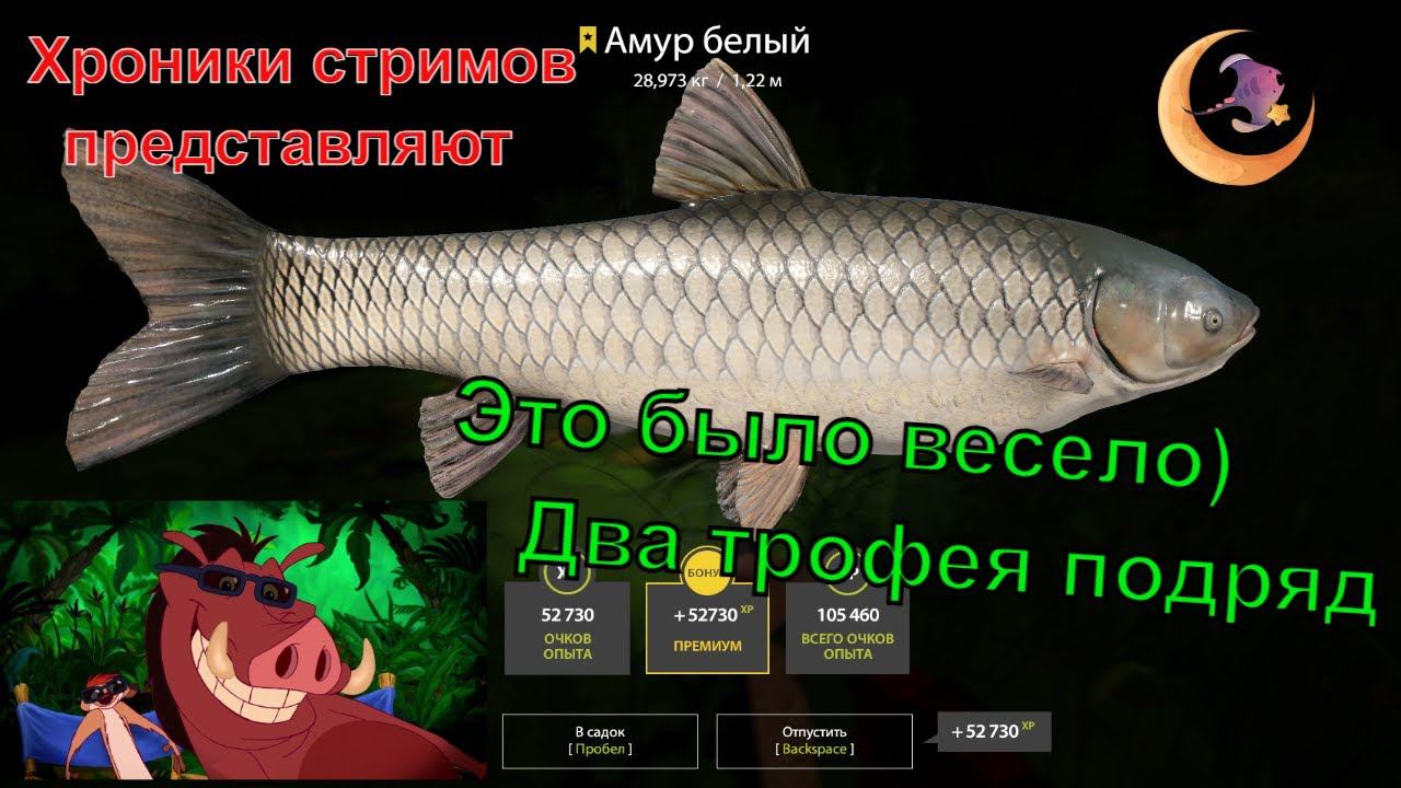 НЕВЕРОЯТНО!!!! ДВА ТРОФЕЯ АМУРА НА СТАРОМ ОСТРОГЕ!!!! #rf4 #русскаярыбалка4 #рр4 #трофей