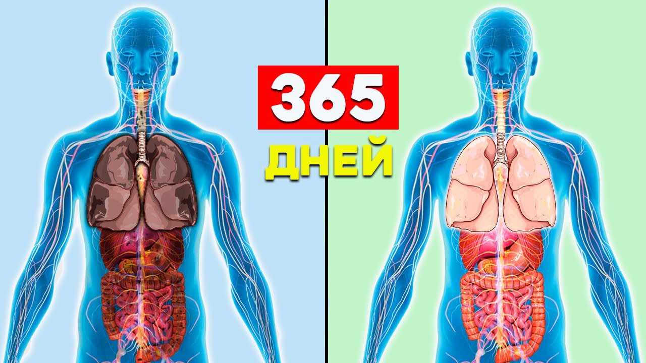 Что будет с Телом если бросить Курить смотреть онлайн