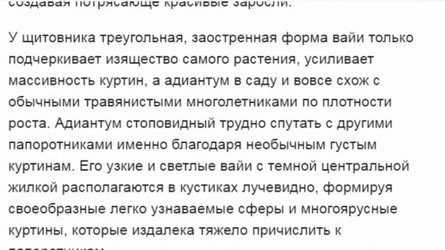 Самые эффектные садовые папоротники смотреть онлайн