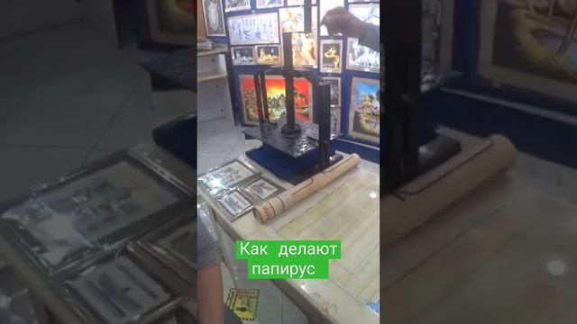 Как египтяне делали папирус #shorts #египет #папирус смотреть онлайн