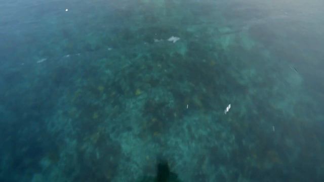 Lake Baikal −19 °C In Russia  BlueMoon Universe