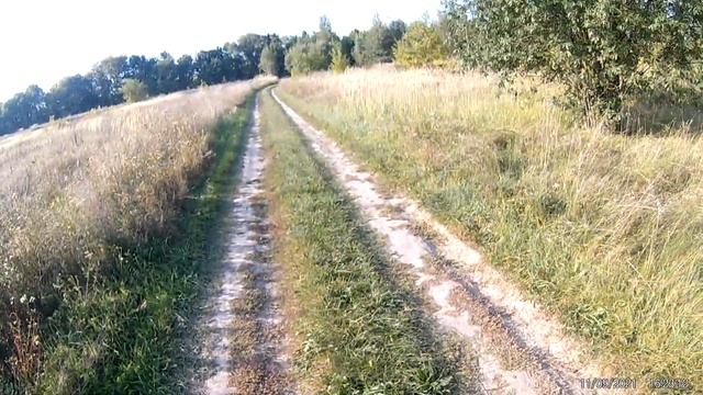 по деревне на ирбис ттр 125 обгоняю всех даже трактор смотреть онлайн