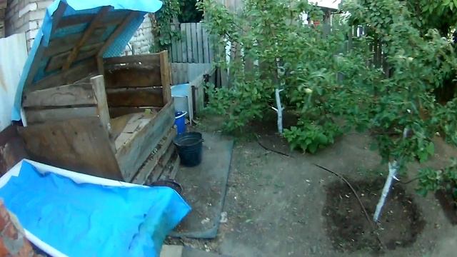 Томаты на чистом биогумусе, Дендра в летнем червячнике. Ответ на комментарий. смотреть онлайн