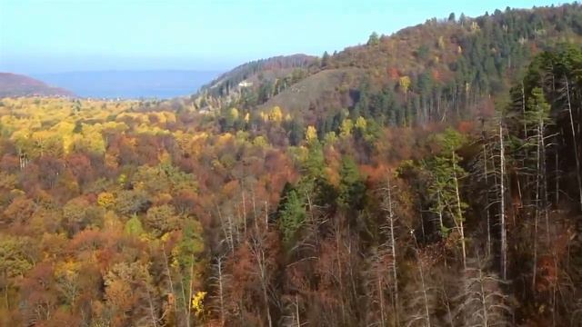 Осень в Жигулёвских горах | Природа с высоты смотреть онлайн