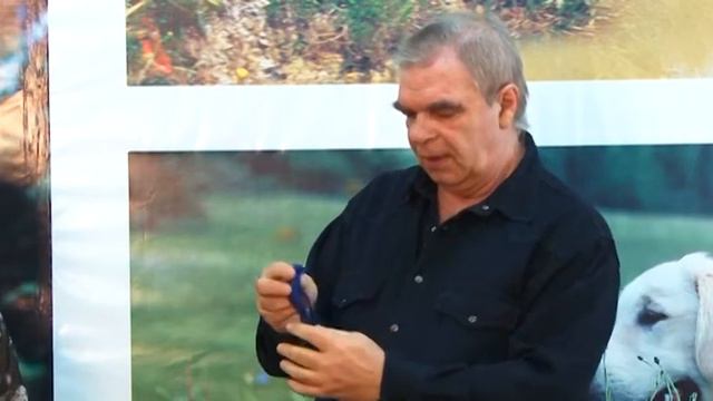 Собачья школа с Нюшей 49 выпуск смотреть онлайн