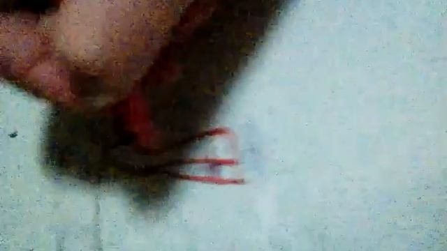 Рисую лошадь породы: Шайр смотреть онлайн