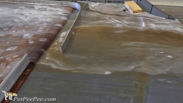 Don't Ask How Much To Clean Oriental Rug From Urine Odor