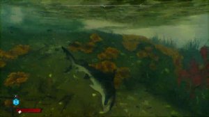 Maneater ➤ Озеро дохлая лошадь ➤ Все коллекционные предметы