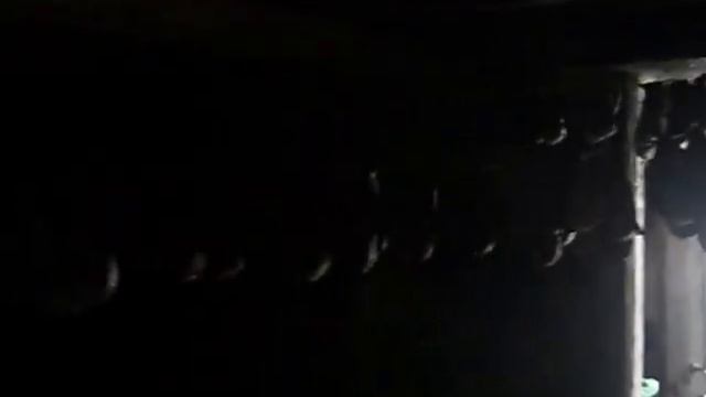 Бобровая струя.Как Сушить струю бобра смотреть онлайн