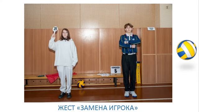 Семинар-тестирование для волейбольных судей смотреть онлайн