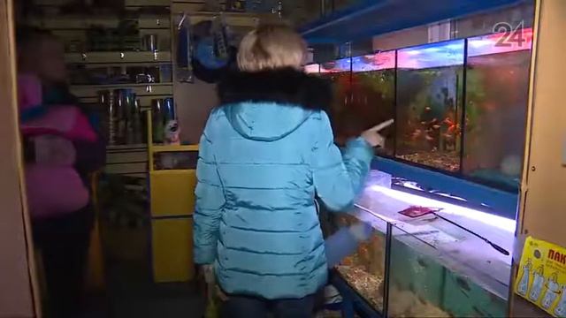 Экзотических животных могут «выселить» из городских квартир смотреть онлайн