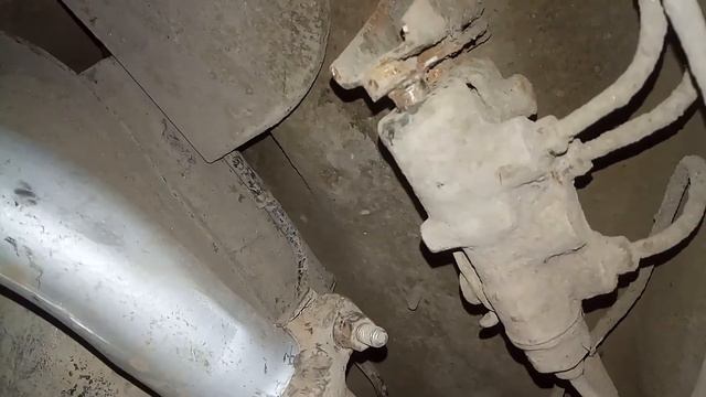 Колдун калина