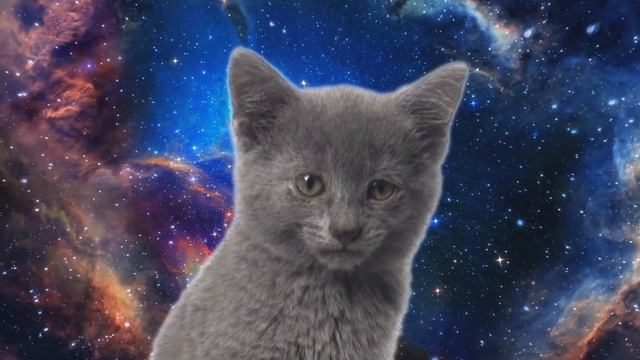 Песня мяу-мяу 10 часов!