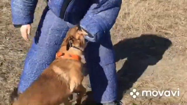 Ума с дальнего кордона смотреть онлайн