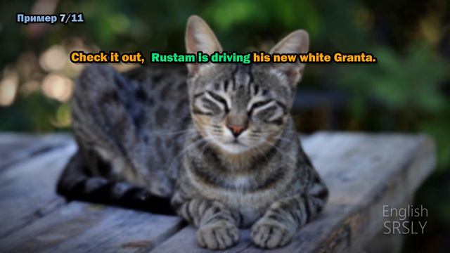 Present continuous - ЖИЗНЕННЫЕ примеры использования смотреть онлайн