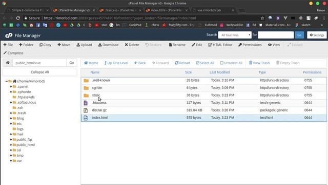 Vue.js 2 Bangla Tutorial #24: Deploy / upload vue js project to server смотреть онлайн