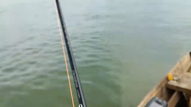 Pesca de Mandi'i Parana, isla Paloma, Ayolas смотреть онлайн