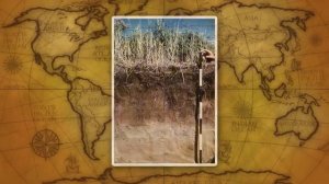 Природа лесостепей и степей Видеоурок по географии 8 класс