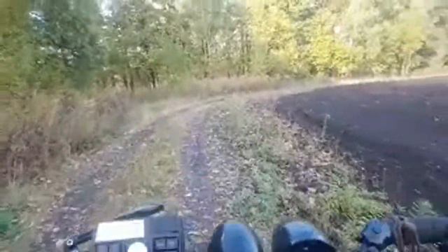 Прогулка - говорилка. смотреть онлайн