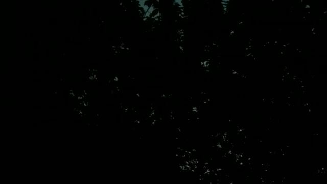 Курский соловей смотреть онлайн