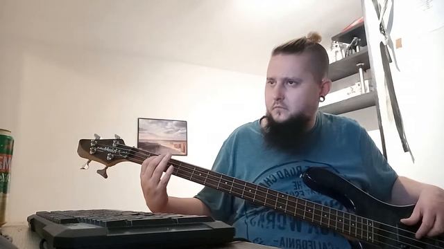 Rammstein - was ich liebe (bass cover) смотреть онлайн