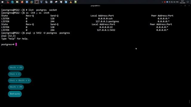 Запуск и использование psql 12 | PostgreSQL 12 | Fedora Server 31 смотреть онлайн