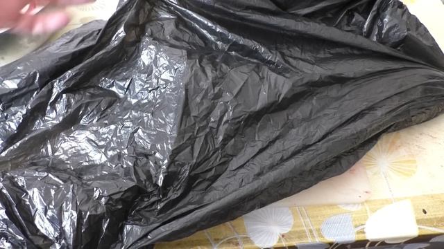 Наука о Животных и их Поведение