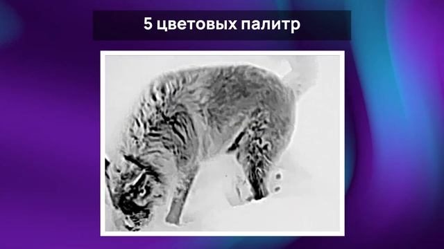 ТЕПЛОВИЗИОННЫЙ МОНОКУЛЯР ДЛЯ ОХОТЫ IRAY AFFO AP 13. ОБЗОР ТЕПЛОВИЗОРА, МАТРИЦЫ, ФУНКЦИЙ #охота смотреть онлайн