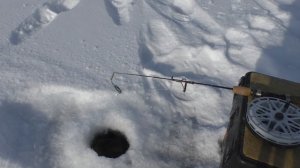 РЫБАЛКА на ОМУЛЯ Северный БАЙКАЛ Февраль , способ ловли, поиск рыбы, снасти .