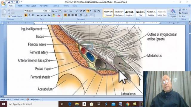 Anatomy GIT module 2020 ( Inguinal ligament ) , by Dr. Wahdan смотреть онлайн