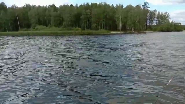 Рефтинское водохранилище. 4 речка , проверка клёва . смотреть онлайн