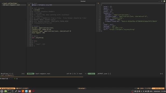 Replace Postman with a native Neovim REST client to SUPERCHARGE your workflow смотреть онлайн