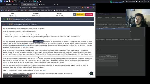 TryHackMe - Burp Suite: The Basics - Walkthrough (CompTIA PenTest+) смотреть онлайн
