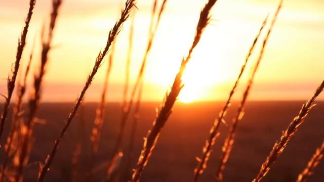 Іван Липа ПРОХОЖАЛИЙ #аудіокнигаукраїнською #аудіокнига смотреть онлайн