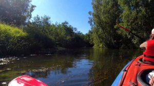 Сплав по реке Меза (Костромская область)