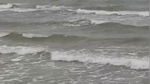 Проводи домой