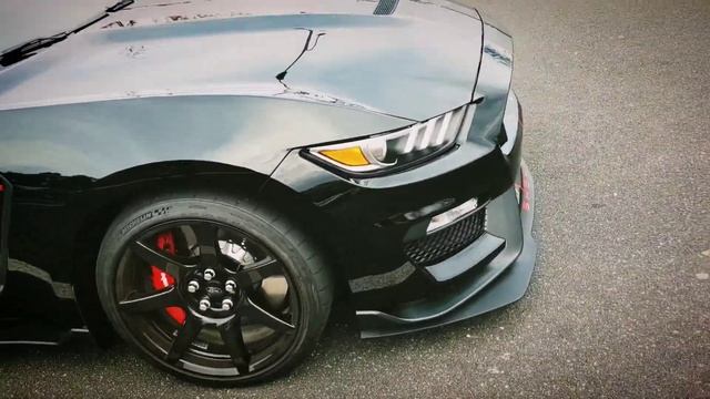 2019 Mustang SHELBY GT350R 565hp walk around смотреть онлайн