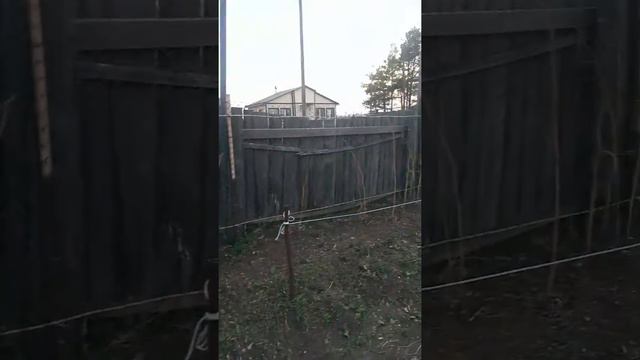 Проделанная работа за сегодня. Начало работы в нашем огороде. Дети балуются))) смотреть онлайн