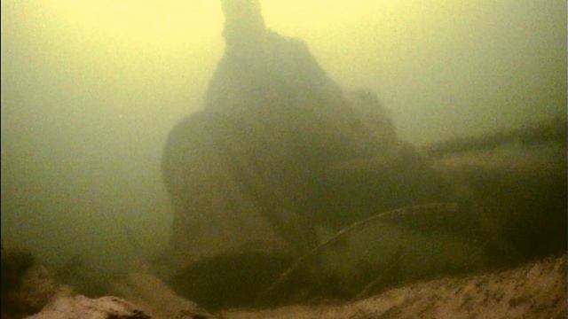 Наблюдаем за работай балансиров и вибов под водой на реке Кама. смотреть онлайн