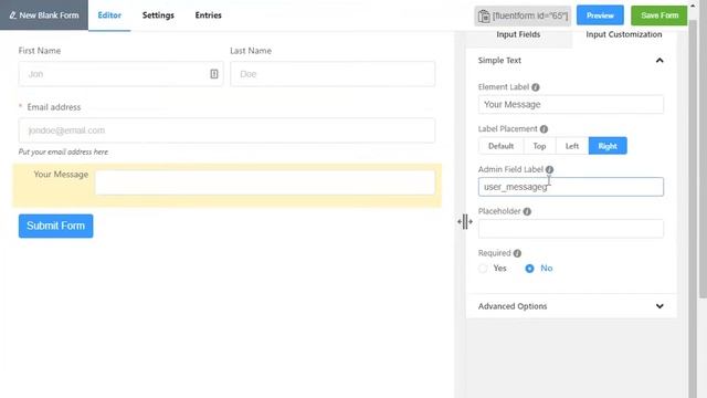 Simple Text Input Field in WP Fluent Form WordPress Plugin смотреть онлайн